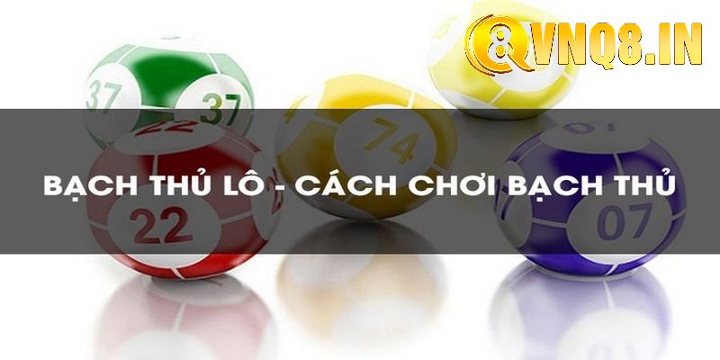 bạch thủ lô