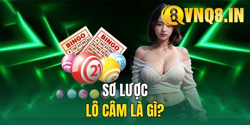 Khái niệm và phương pháp nhận biết lô câm